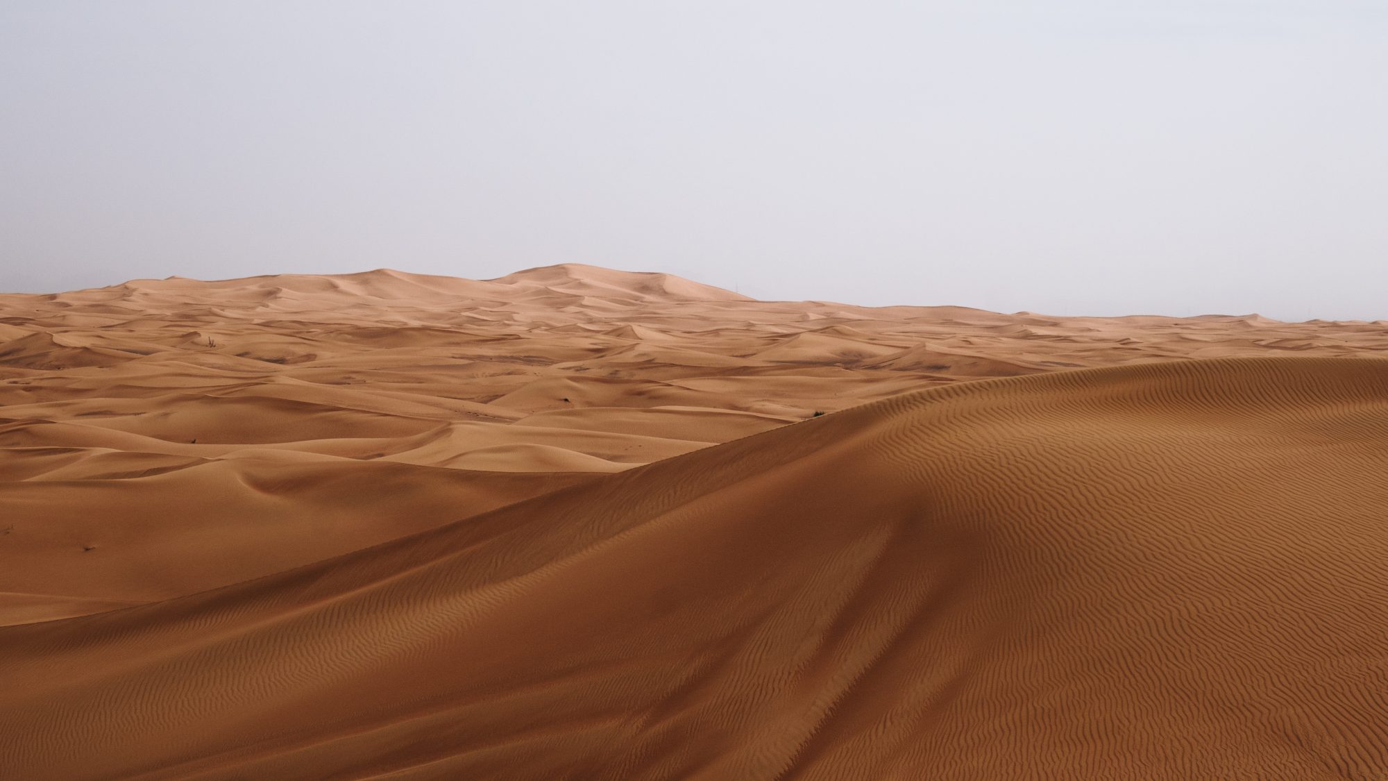 Dunes - Désert de Dubaï