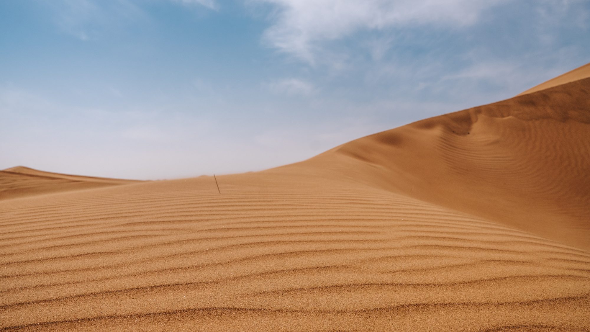 Dune de sable au vent - Désert de Dubaï