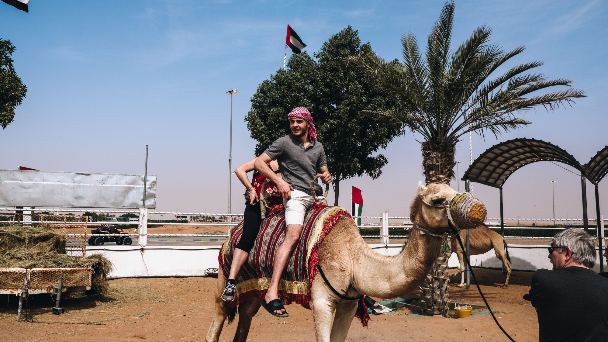 Camel ride - Désert de Dubaï
