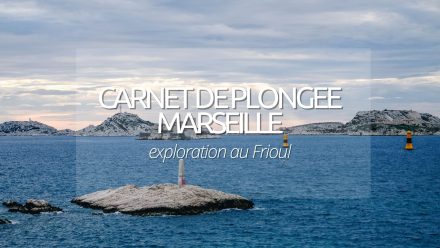 Guide plongée : Calanques de Marseille