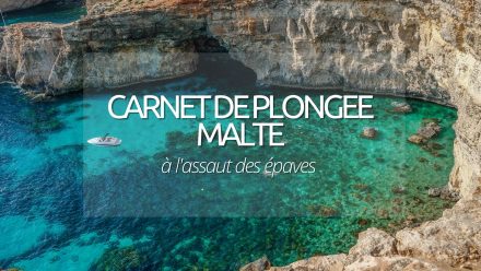 Guide plongée : Malte