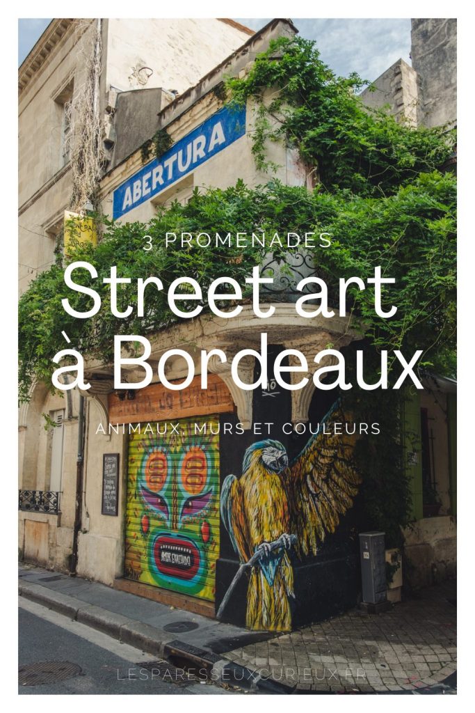 Pinterest Pin Street art Bordeaux
