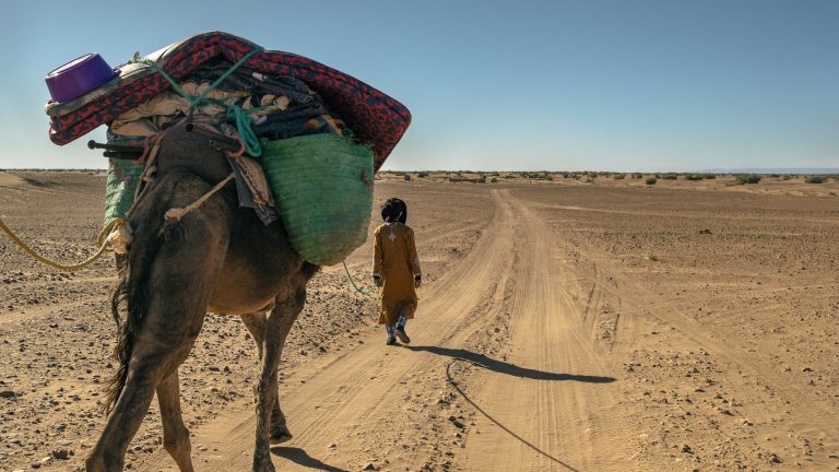 Bagages sur un chameau dans le desert du Maroc