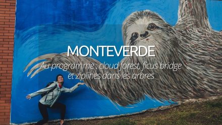 Visiter Monteverde : 2 jours dans les nuages à la recherche du quetzal perdu