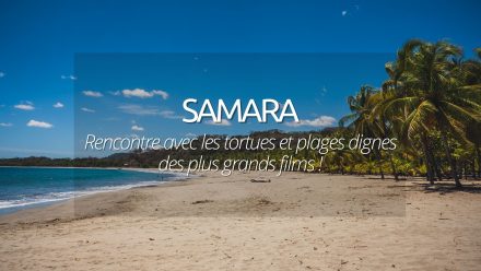 Que faire à Samara au Costa Rica ? Entre plages paradisiaques et observation des tortues.