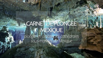 couverture plongée cenotes mexique