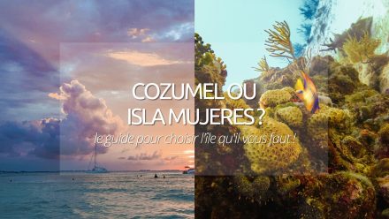 Cozumel ou Isla Mujeres : quelle île adopter sur la Riviera Maya ?