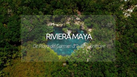Riviera Maya : de Playa del Carmen à Tulum, les Paresseux Curieux en visite balnéaire.