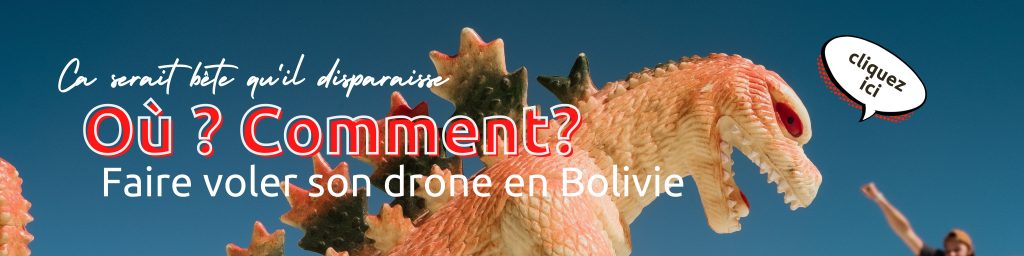 documents de voyage bolivie