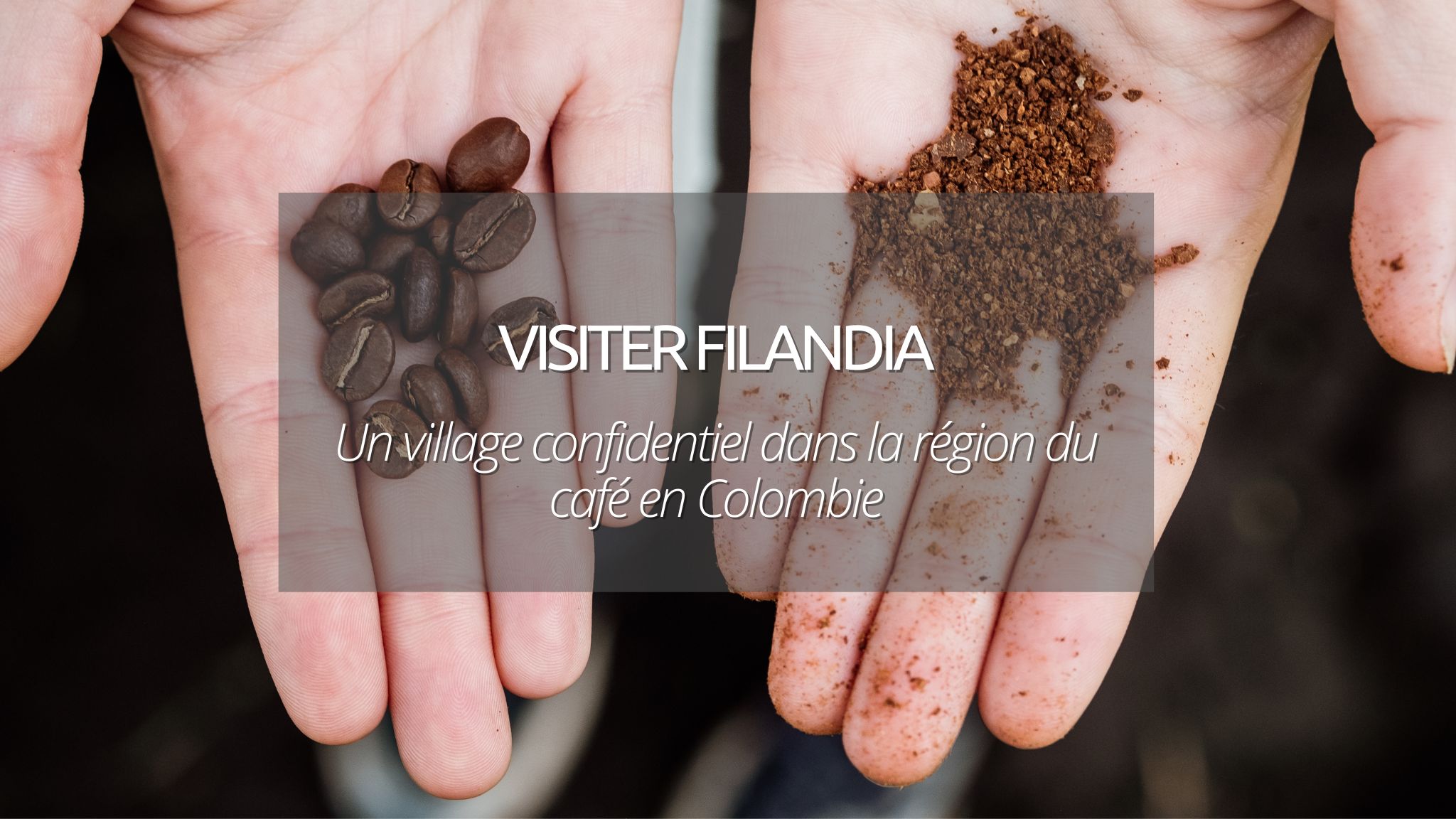 Visiter Filandia, village confidentiel dans la région du café en Colombie !