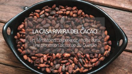 Les Mimistoires : plongée dans le chocolat à La Casa Rivera del Cacao de T. Mulhaupt et José Luis Pérez, une expérience insolite