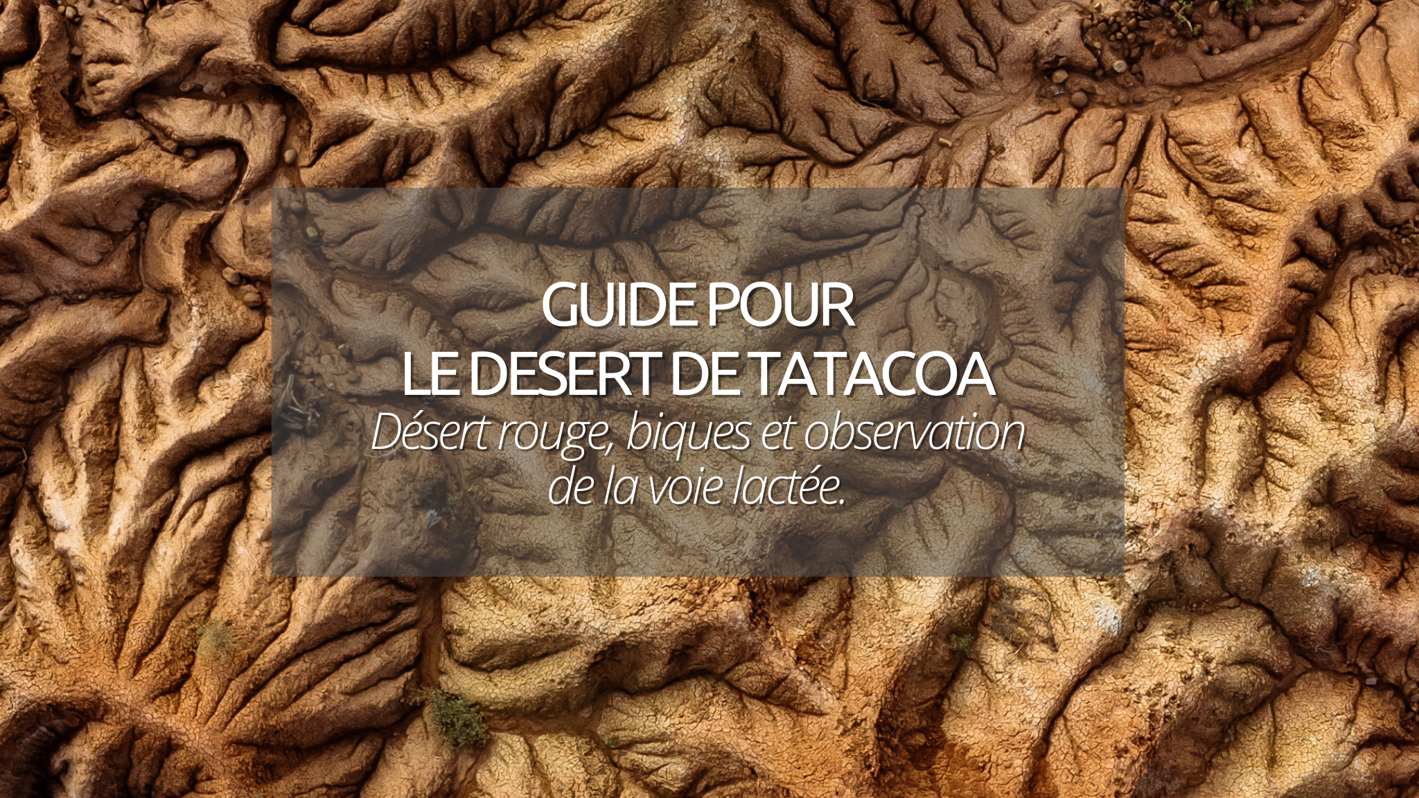 Visiter le désert de Tatacoa : un des plus jolis paysages de Colombie