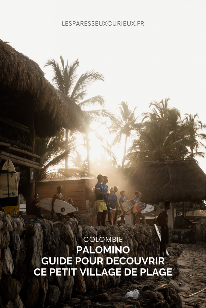 pinterest que faire a palomino en colombie : du surf