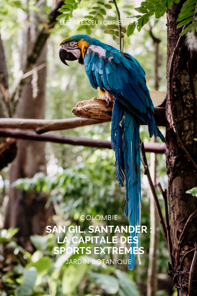 Guide visiter le jardin botanique de San Gil : que faire à Sang Gil, en Colombie