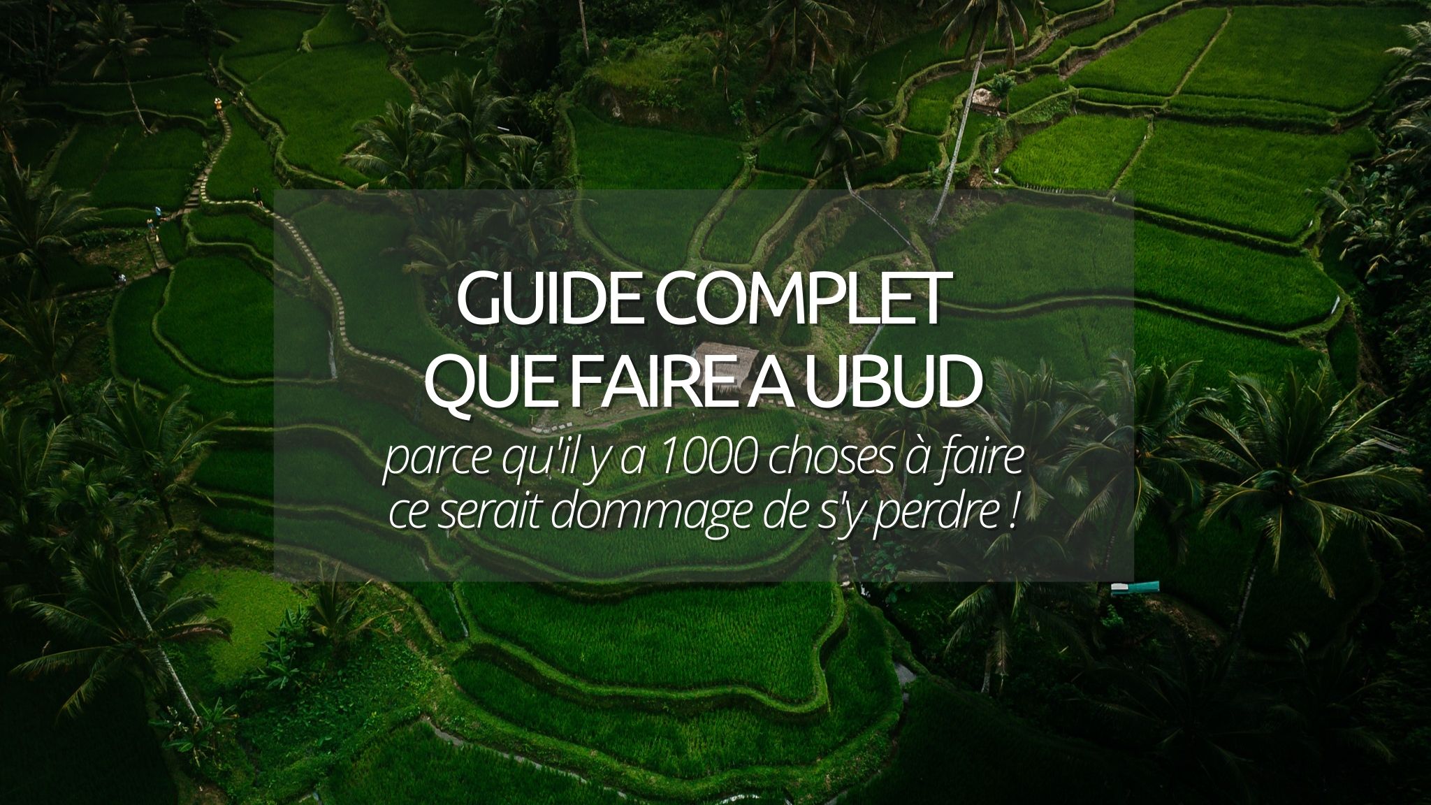 Que faire à Ubud ? Temples, restaurants, rizières, le guide ultime !