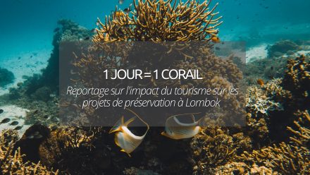 couverture 1 jour 1 corail lombok