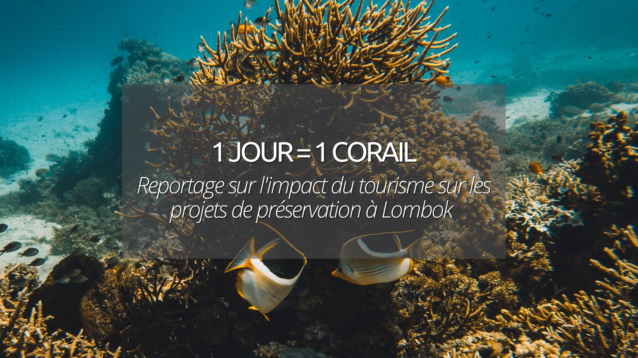 1 jour = 1 corail à Lombok en Indonésie : Impact du tourisme sur les projets de préservation et la vie des îles