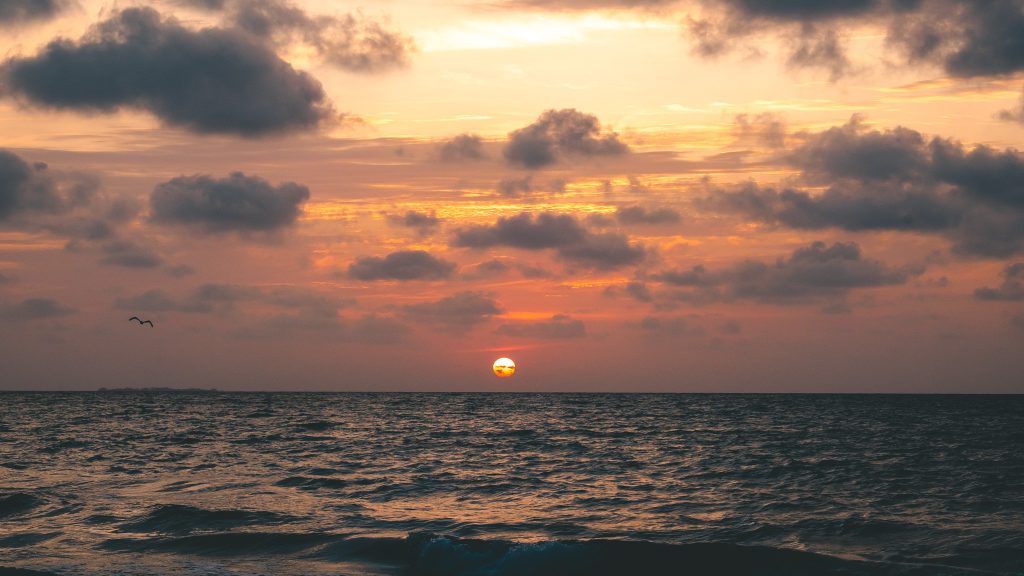 plages des caraibes et coucher du soleil