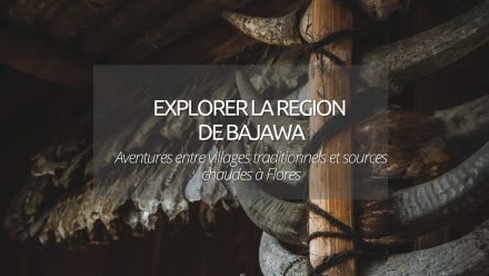 Explorer la région de Bajawa à Flores : aventures entre villages traditionnels et sources chaudes