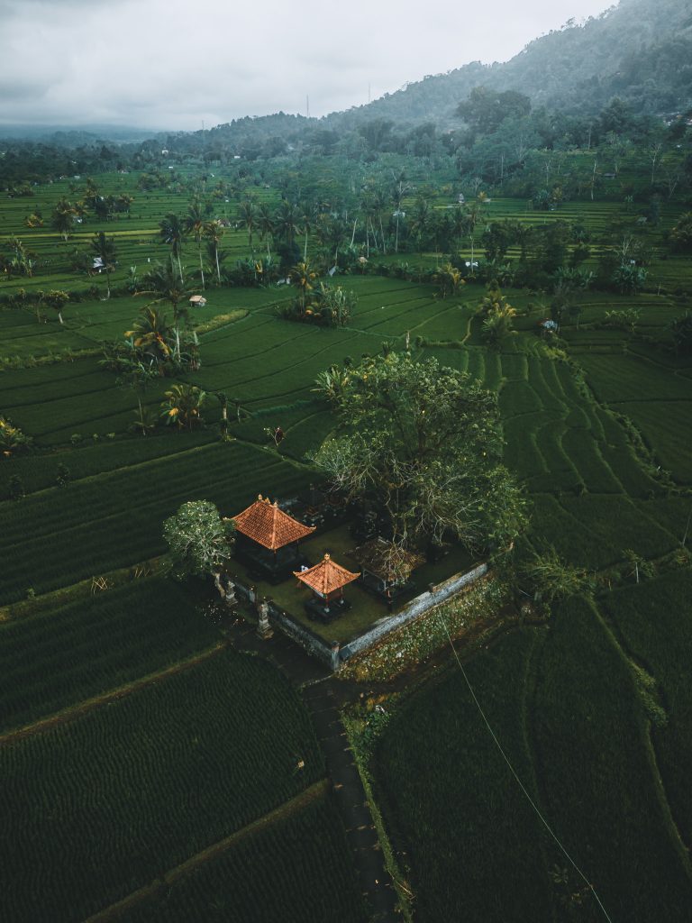 Vue en drone des rizières de Sidemen