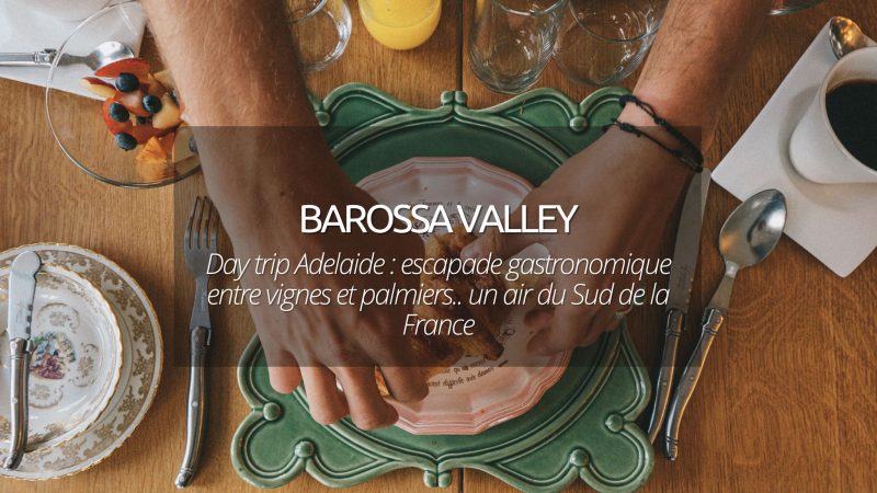 Day trip Adelaide : Barossa Valley, escapade gastronomique entre vignes et palmiers.. un air du Sud de la France