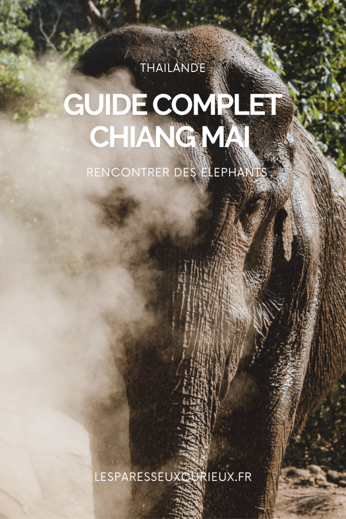 rencontrer des elephants en thailande