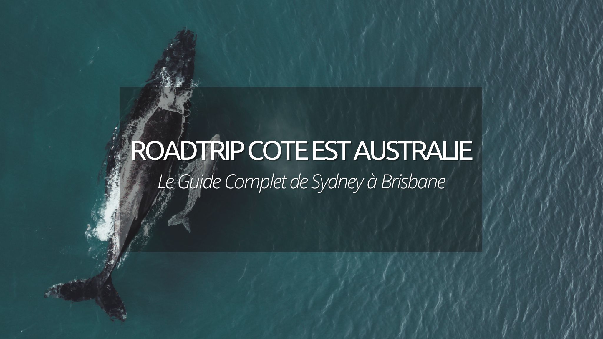 Road trip cote Est de l’Australie : itinéraire, budget, quand et comment, le GUIDE COMPLET pour votre voyage de Sydney à Brisbane