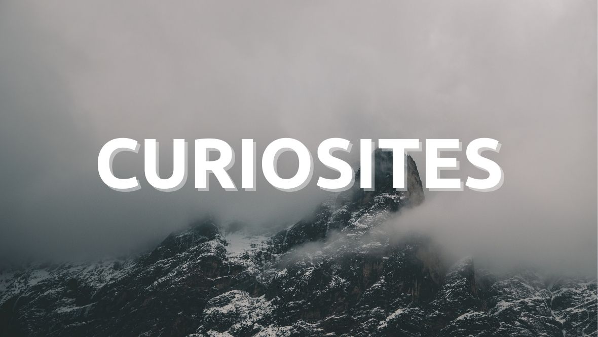 curiosites_paresseux_curieux