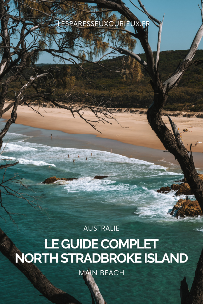 guide complet pinterest pin straddie