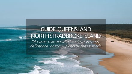 Guide North Stradbroke Island : voir des animaux et des plages de rêves près de Brisbane