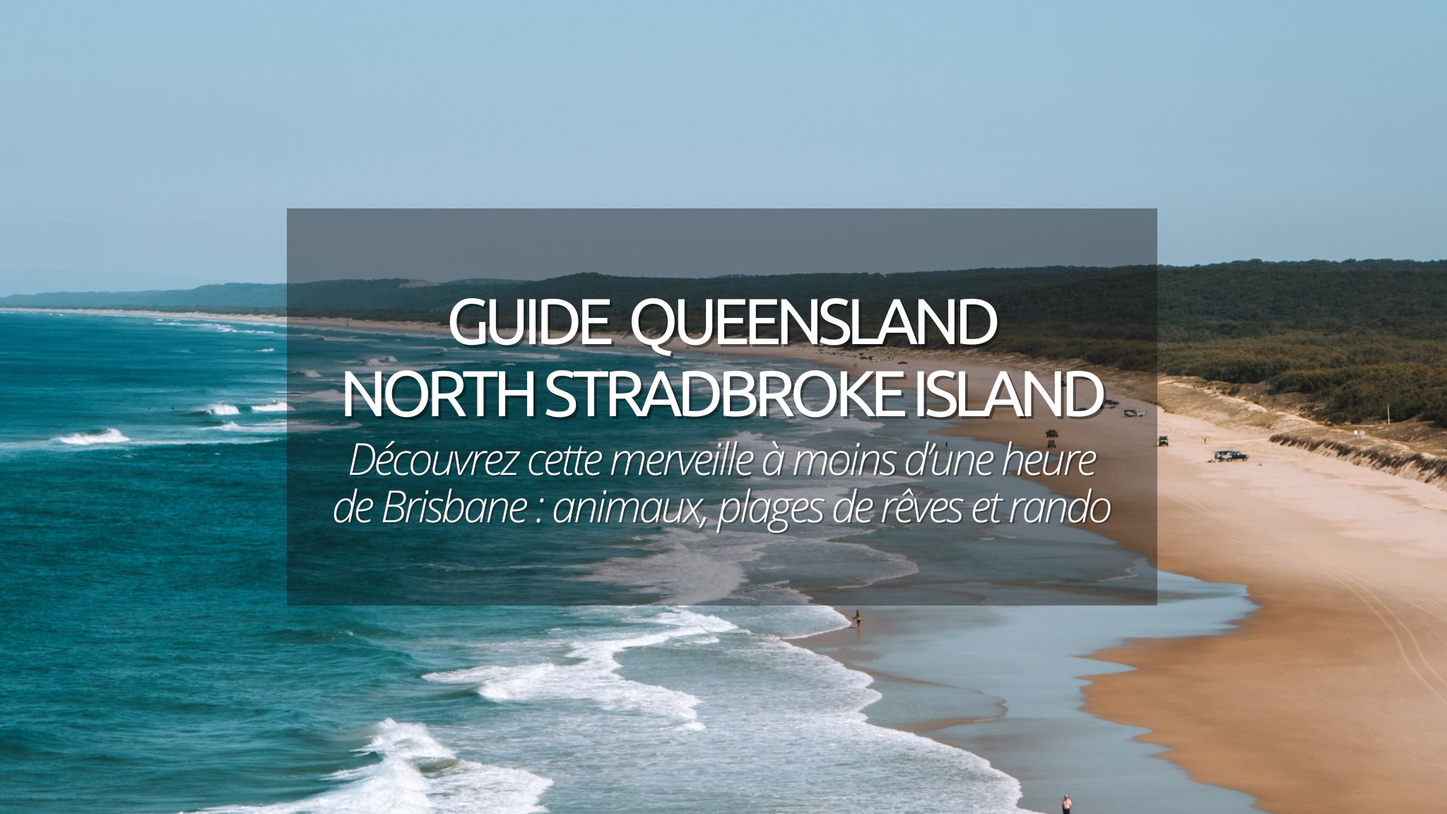 Guide North Stradbroke Island : voir des animaux et des plages de rêves près de Brisbane