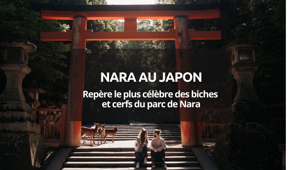 Visiter Nara au Japon : les incontournables de la ville des biches sacrées